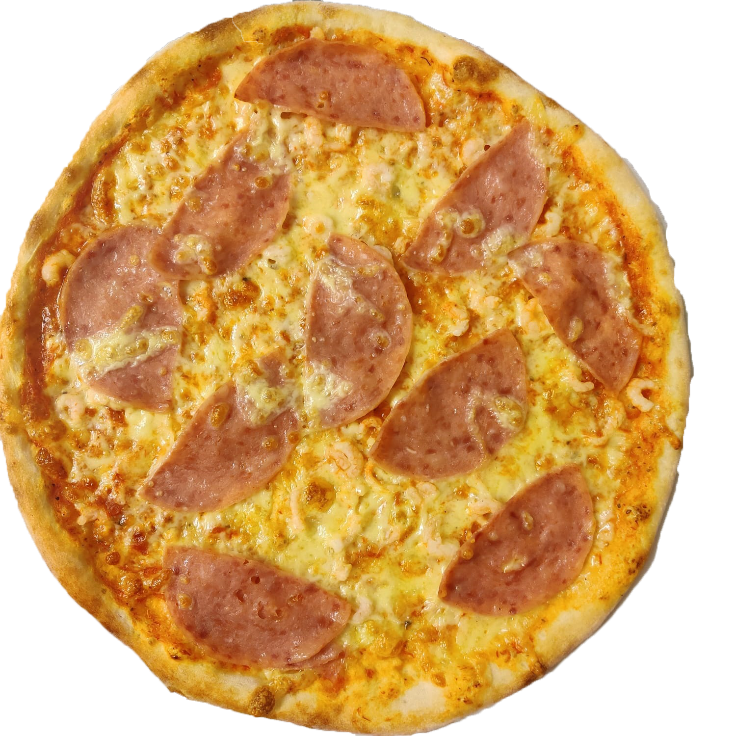 BUSSOLA